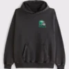 Abercrombie Philadelphia Eagles Graphic Popover Hoodie