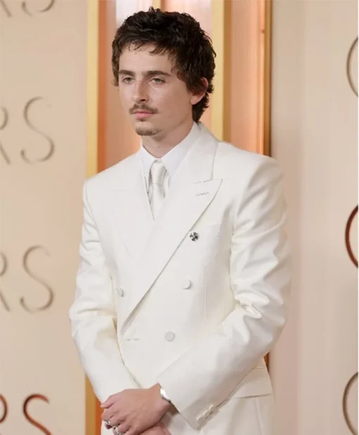 Timothee Chalamet Oscars suit