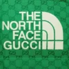 Gucci x The North Face GG Monogram Down Jacket