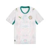 Senegal World Cup Jersey