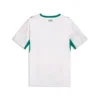 buy Senegal World Cup Jersey