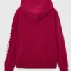 buy now FIFA World Cup 2026 Toronto Hoodie