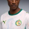 order now Senegal World Cup Jersey