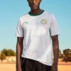 shop Senegal World Cup Jersey