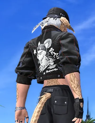 Ffxiv Street Jacket