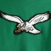 shop-now-Abercrombie-Eagles-Popover-Hoodie.webp