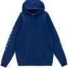 World of Warcraft Lich King Hoodie