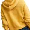 AE Campus 2026 Hoodie