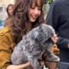 Lisa NRJ Radio Studio Mustard Cropped Jacket